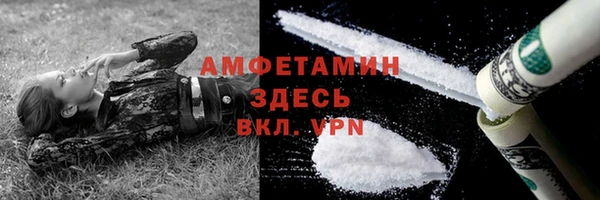 индика Дмитровск