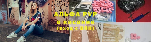 индика Дмитровск