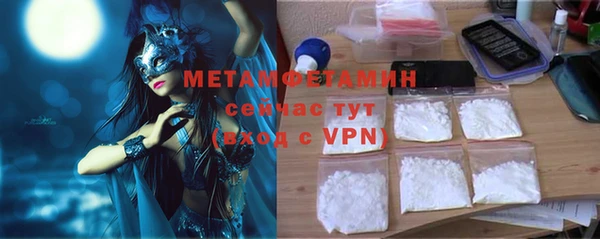 индика Дмитровск