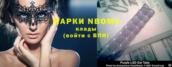 индика Дмитровск