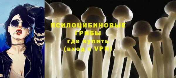 индика Дмитровск