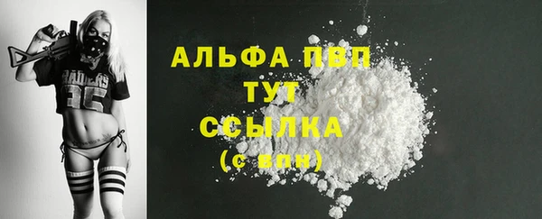индика Дмитровск