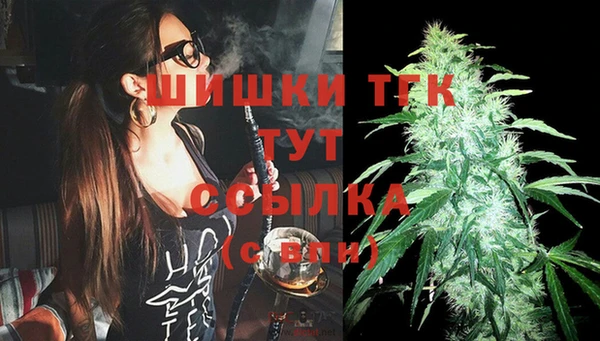 индика Дмитровск