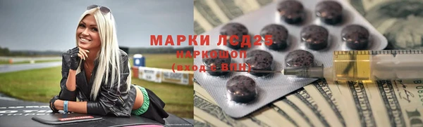 индика Дмитровск