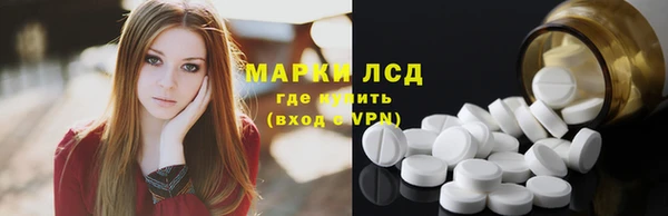 индика Дмитровск