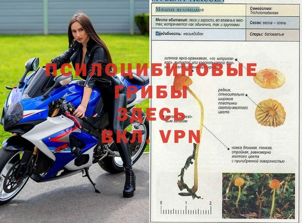 индика Дмитровск