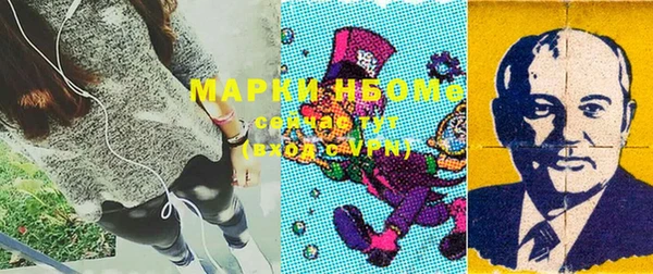 индика Дмитровск