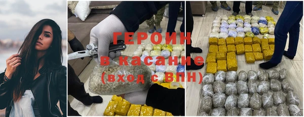 индика Дмитровск