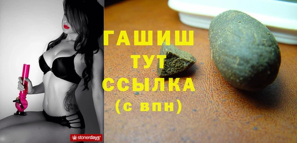 индика Дмитровск