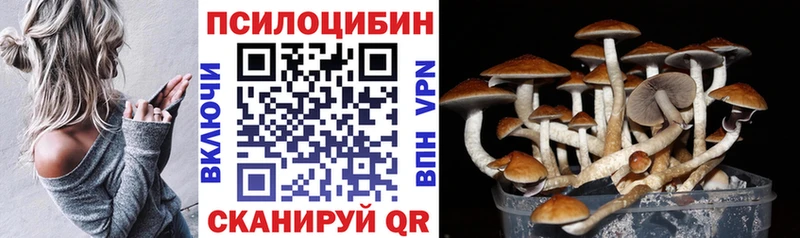 Галлюциногенные грибы мухоморы  Купить закладки  Зима 